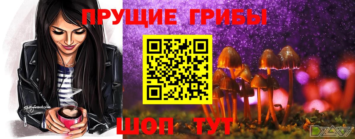 Кызыл  Галлюциногенные грибы ЛСД  Псилоцибиновые грибы мицелий  где можно купить наркотик  Вход с VPN 
