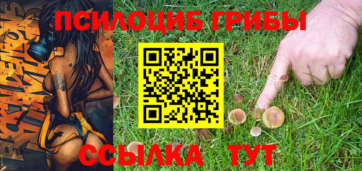 Галлюциногенные грибы прущие грибы Кызыл